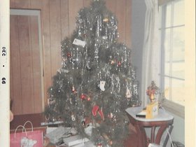 1966 Dec. Arbor Dr. Christmas tree.jpg